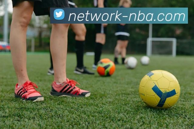 App Interface Preview